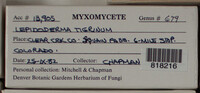Image Associated With the Occurence